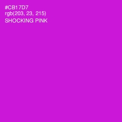 #CB17D7 - Shocking Pink Color Image